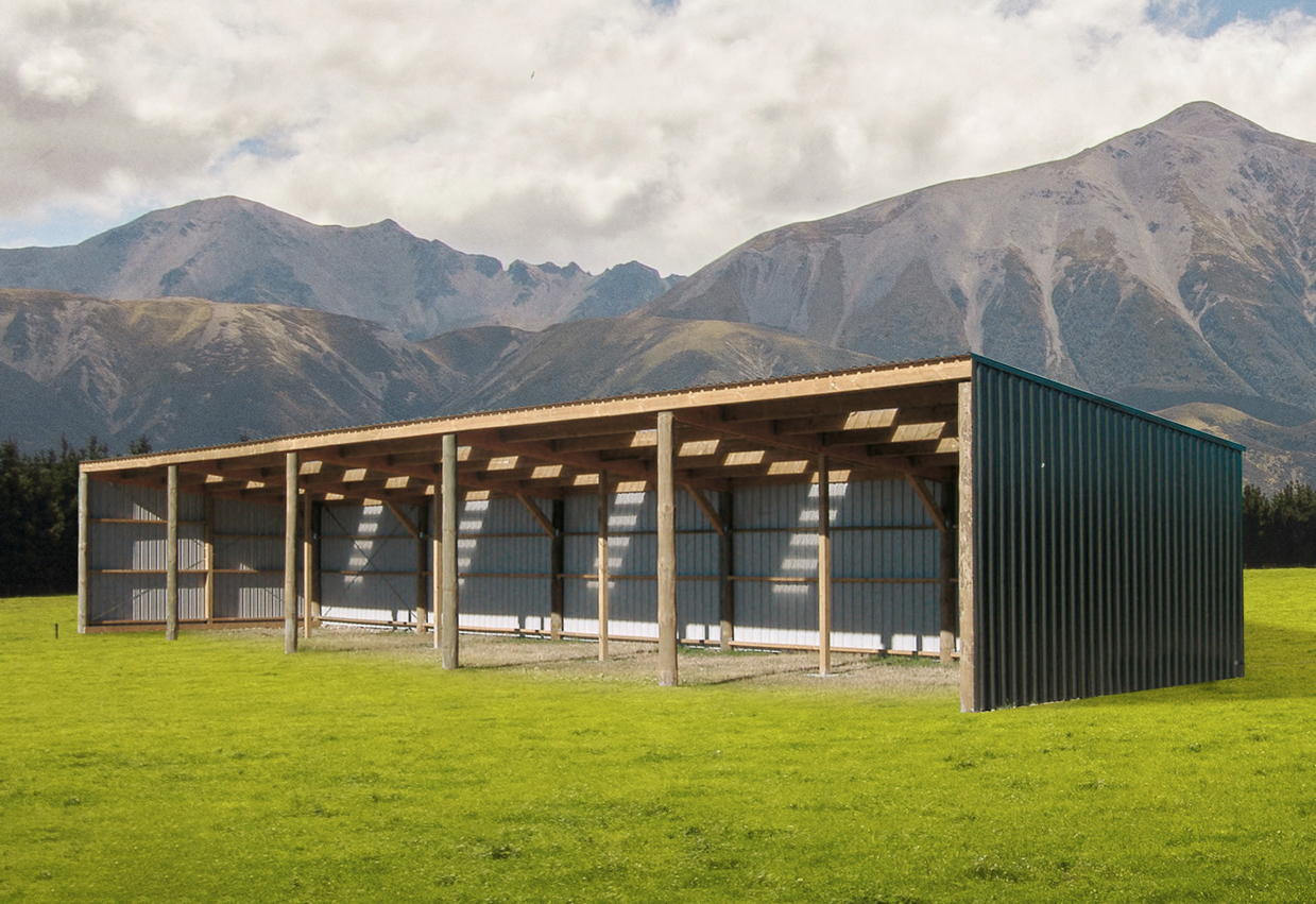 Build the shed that's in your head